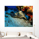 Hawksbill Sea Turtle Resting Wall Decal