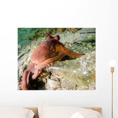 Common Octopus Protecting Bottle Wall Decal shown on a wall