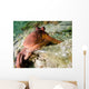 Common Octopus Protecting Bottle Wall Decal