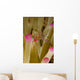 Spotted Cleaner Shrimp Pink Wall Decal Design 1