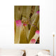 Spotted Cleaner Shrimp Pink Wall Decal Design 1