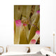 Spotted Cleaner Shrimp Pink Wall Decal Design 1
