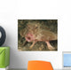 Batfish Close-up West Palm Wall Decal