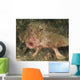 Batfish Close-up West Palm Wall Decal