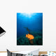 Sunrays Shining Garibaldi Damselfish Wall Decal