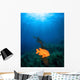 Sunrays Shining Garibaldi Damselfish Wall Decal