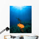Sunrays Shining Garibaldi Damselfish Wall Decal
