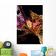 Flamingo Tongue Snail Coral Wall Decal