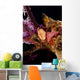 Flamingo Tongue Snail Coral Wall Decal