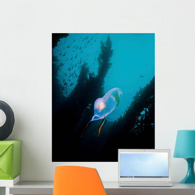 Bioluminescent Tunicate Catalina Island Wall Decal shown on a wall
