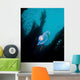 Bioluminescent Tunicate Catalina Island Wall Decal