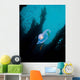Bioluminescent Tunicate Catalina Island Wall Decal