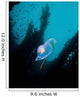 Bioluminescent Tunicate Catalina Island Wall Decal