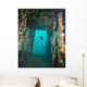 Atlantic Spadefish Swims amongst Wall Decal