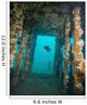 Atlantic Spadefish Swims amongst Wall Decal