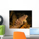 Oyster Toadfish Sitting inside Wall Decal