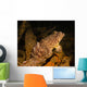 Oyster Toadfish Sitting inside Wall Decal