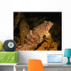 Oyster Toadfish Sitting inside Wall Decal