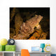 Oyster Toadfish Sitting inside Wall Decal