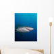 Sand Tiger Shark off Wall Decal
