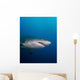 Sand Tiger Shark off Wall Decal