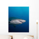 Sand Tiger Shark off Wall Decal