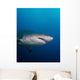 Sand Tiger Shark off Wall Decal