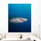 Sand Tiger Shark off Wall Decal