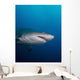 Sand Tiger Shark off Wall Decal
