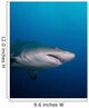 Sand Tiger Shark off Wall Decal