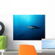 Sand Tiger Shark and Wall Decal
