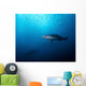 Sand Tiger Shark and Wall Decal