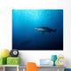 Sand Tiger Shark and Wall Decal