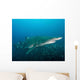 Sand Tiger Shark above Wall Decal