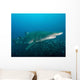 Sand Tiger Shark above Wall Decal