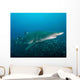 Sand Tiger Shark above Wall Decal