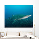 Sand Tiger Shark above Wall Decal
