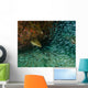 Tiger Grouper Chasing Minnows Wall Decal