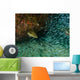 Tiger Grouper Chasing Minnows Wall Decal