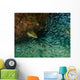 Tiger Grouper Chasing Minnows Wall Decal