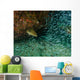 Tiger Grouper Chasing Minnows Wall Decal