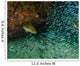 Tiger Grouper Chasing Minnows Wall Decal
