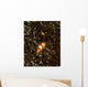 Pair Anemonefish Its Host Wall Decal Design 2