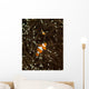 Pair Anemonefish Its Host Wall Decal Design 2