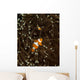 Pair Anemonefish Its Host Wall Decal Design 2
