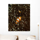 Pair Anemonefish Its Host Wall Decal Design 2