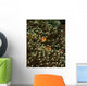 Pair Anemonefish Its Host Wall Decal Design 1