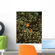 Pair Anemonefish Its Host Wall Decal Design 1