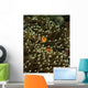 Pair Anemonefish Its Host Wall Decal Design 1