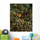 Pair Anemonefish Its Host Wall Decal Design 1